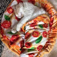 Nomalicious Pizza Bacon Blanket Mat Cat Bed Pizza Cat Pizza