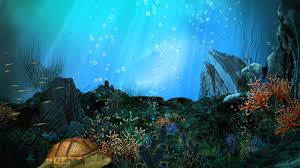 Image Dreamscene Wallpaper Http 69hdwallpapers Com Image Dreamscene Wallpaper Fondos De Pantalla En Movimiento Fondos De Pantalla Hd Pantalla En Movimiento