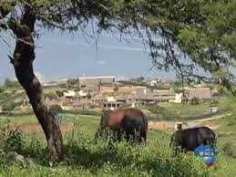 Live pictures of eff top brass in nkandla. Nkandla Residents Hurt By The Presidents Homestead Splurge Youtube