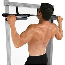 best pull up bars of 2019 top pull up bars compared top