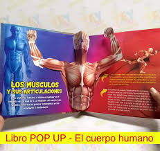 ?Que tu pequeñ@ aprenda de una forma muy divertida que el Cuerpo Humano es  un máquina perfecta, así mismo su funcionalidad. ? Observando cada escena  descubrirá cómo es nuestro organismo por dentro y ...