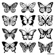 Butterfly drawing with colours 2. Tattoo Quotes Tattoo Quotes Butterfly Drawing Butterfly Tattoo Designs Tattoo Templates