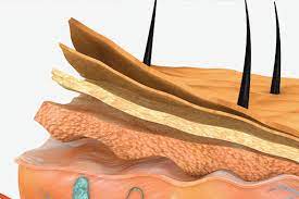 Why Iodine Is Essential For Healthy Skin And How To Get Your Daily Intake Be Beautiful India
