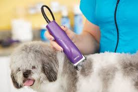 Get enviable results with our variety of brushes and combs sold. Dog Clipper Buying Guide Walmart Com Dog Clippers Dog Grooming Supplies Pet Grooming