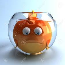 Cartoon Fish Trap In Glass Bowl Stock Photo Picture And Royalty Free Image Image 82413620 Get your hands on great customizable fish stickers from zazzle. cartoon fish trap in glass bowl