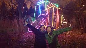 Holiday Lighting Installer In Chicago Illuminight Lighting