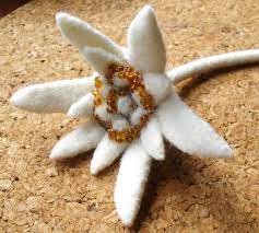 Pin On Felt Objects