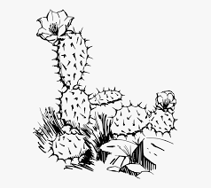 One palm tree black and white. Clip Art Black And White Cactus Free Transparent Clipart Clipartkey