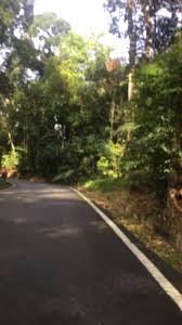 Our comments on the bilik 4 musim! Bukit Cerakah Walk Trail Shah Alam Selangor Malaysia Pacer