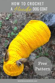 Michael snow created this cozy and cute hat with some duplicate stitching. Small Dog Hoodie Sweater Itchin For Some Stitchin