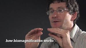 Archive] Provost Halleran discusses liberal arts and the W&M plan