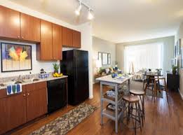 Imt The Domain Domain Apartments Kitchen Tops Granite Apartments For Rent Austin Apartment
