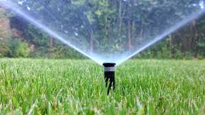 It's not nearly as simple as turning on the sprinklers and walking away! Grass How Much Does It Cost To Water Grass How Long Should The Lawn Be Watered For Express Co Uk