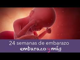24 Semanas De Embarazo Sexto Mes Embarazoymas Youtube