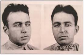 Swimming with the Sharks