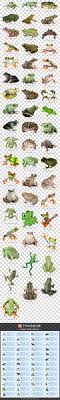 卡通青蛙树蛙cartoon frog tree frog image green png images
