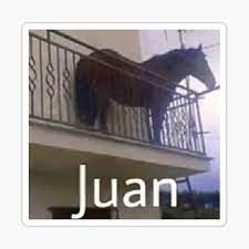It will be published if it complies with the content rules and our. Juan The Horse Meme Funny Sticker By Nattdrws Redbubble