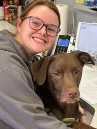 Major the Therapy Dog