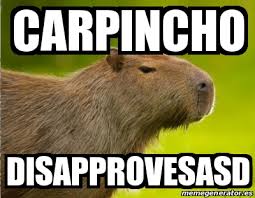 Le territoire de l'argentine possède une grande quantité de biomes et de biotopes, ce qui revient à dire une. Meme Personalizado Carpincho Disapprovesasd 31612596