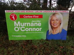 Confusion As Carlow Kilkenny Election Candidate S Posters Appear In Wicklow