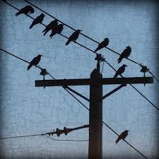 The Birds Work For The Bourgeoisie Painting Sunset Fine Art Photo Prints Fine Art Photographs Fine Art Prints