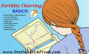 Charting Basics Pee On A Stick Freak