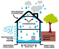 Maybe you would like to learn more about one of these? Comment Reconnaitre Les Types D Humidite Dans Mon Habitat