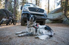 We did not find results for: The Most Dog Friendly National Parks Bearfoot Theory