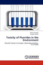 Image result for Fluoride Toxicity