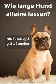 Zudem sollte in den ersten wochen im neuen zuhause eine stundenlange trennung möglichst vermieden werden. Wie Lange Kann Ich Meinen Hund Alleine Lassen Alleinsein Trainieren Ab Dem Welpenalter
