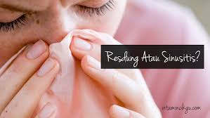 Tahapan merawat ayam bangkok aduan. Resdung Dan Sinusitis Ini Sama Atau Berbeza Pengedar Shaklee Alor Setar