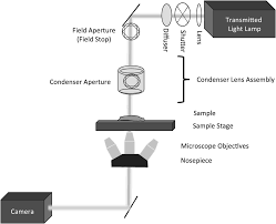 If you wish to discover more information on microscope eyepiece, then you have come to the correct place. Optical Imaging What Are The Pretty Pictures Actually Showing Me Chapter 4 Optical Measurements For Scientists And Engineers