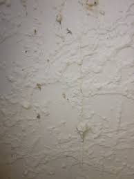 How often should you repair concrete cracks? Issues And Repairs Branz Maintaining My Home