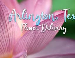 2614 wade hampton blvd, greenville, sc 29615, usa. 5 Best Options For Flower Delivery In Greenville Nc 2021