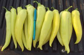 These peppers are large, growing up to 8 inches in length, with an exceptionally sweet flavor. Natasha Sweet Banana Pepper Not Treated Seedway