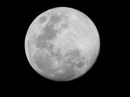 59,000+ vectors, stock photos & psd files. Full Moon Png Photos Free Royalty Free Stock Photos From Dreamstime