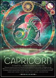 Image result for Dyschoriste capricornis