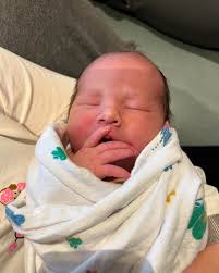 Brady Fay (@brady.fay) • Instagram photos and videos