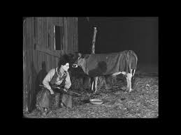 Yesterday, the silent film society of chicago presented a special screening of buster keaton's 1928 film the cameraman at saint john cantius church, complete with organist jay warren's accompaniment on the. What Would Buster Keaton Do Go West An Underrated Keaton Masterpiece