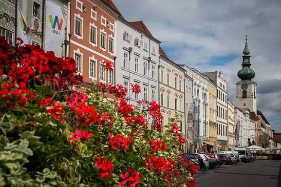 Wels