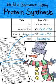 Build A Snowman Using Protein Synthesis Lab Activity Genetics Activities Lab Activities Protein Synthesis