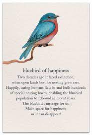 Bluebird Birthday Card Cardthartic Com Blue Bird Meaning Of Life Meant To Be