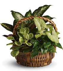 Gloria Joyner Obituary August 13, 2024