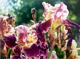 What first seems to egg them and their love lives soon turns into threat to both their love and their marriages. My Latest Watercolor Painting Took A While Because I Am Trying To Get My Online Watercolor Tutorials Finished By The End Of January And Ready For The La Quinta Fine Art Show