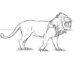 Find more realistic lion coloring page pictures from our search. Easy Lion Coloring Pages For Kids Drawing With Crayons