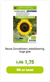 Stappenplan Zonnebloemen Zaaien Alle Zaden Kopen