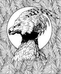 coloriage harry potter 150 pieces imprimer a4 wonder day en 2021 oiseau rit