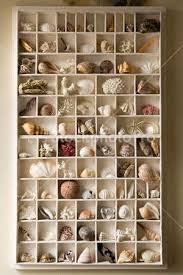 Epingle Par Christine Ottmann Bender Sur Sea Shells And Sun Art Coquillage Deco Bord De Mer Deco Coquillage