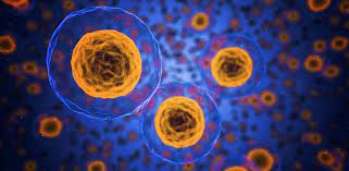 Pentru cei ce suferă de o boală care poate fi tratata cu celule. Recoltare Celule Stem La Nastere Beneficii Sfaturi Mami Si Copilul