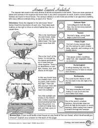 Pin On Rainforest Lesson Plans